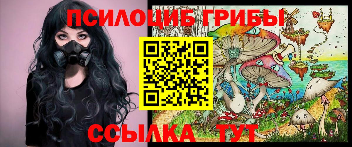 Йошкар-Ола  Псилоцибиновые грибы MAGIC MUSHROOMS  Вход с VPN  Галлюциногенные грибы Magic Shrooms 