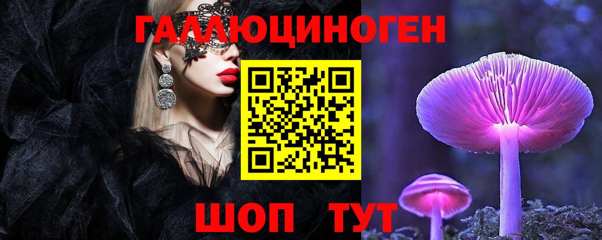 Псилоцибиновые грибы Psilocybine cubensis Йошкар-Ола